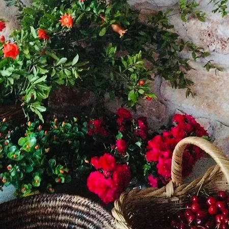 I Trulli Di Venere Vakantiehuis *