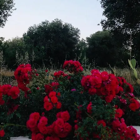 Vakantiehuis I Trulli Di Venere Ceglie Messapica